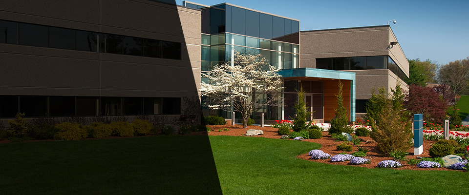 Live Oak Landscapers