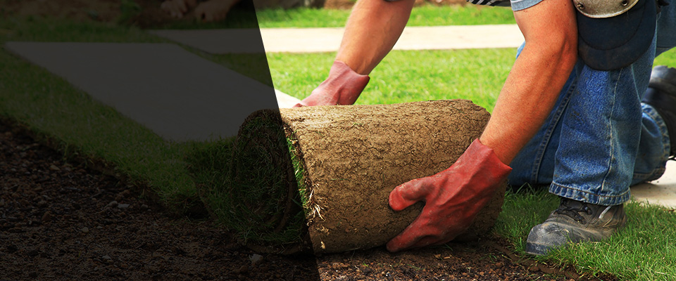 Live Oak Landscapers